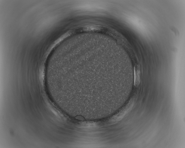 X0000114520435200911091154