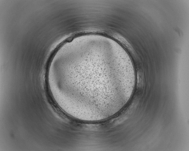 X0000114520436200911091154