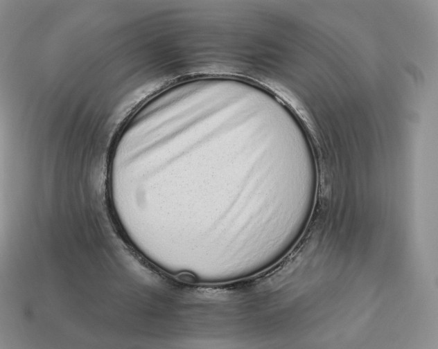 X0000114520437200911091154