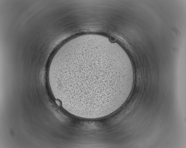 X0000114520439200911091154