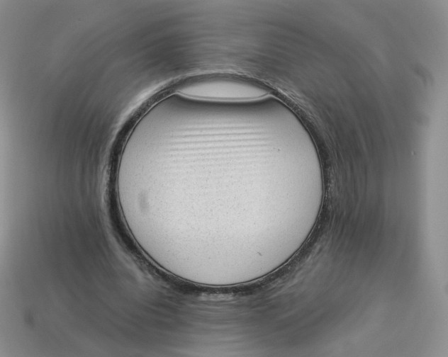 X0000114520440200911091154