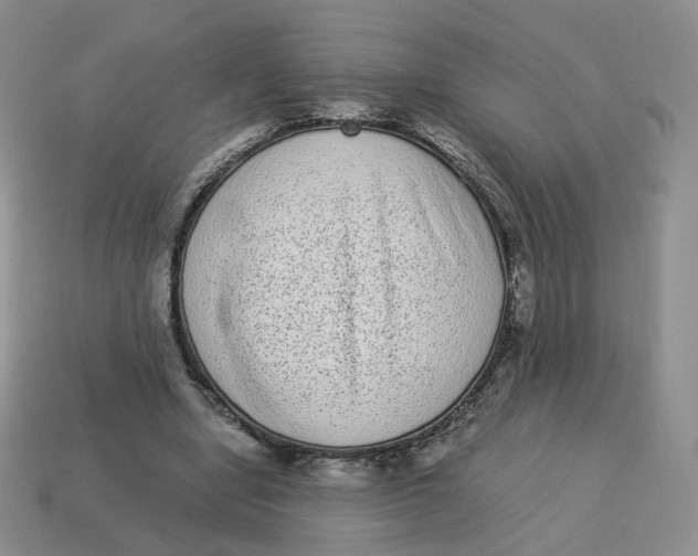 X0000114520442200911091154