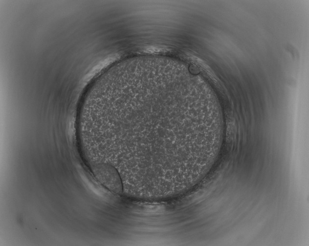 X0000114520443200911091154