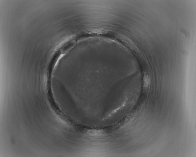 X0000114520444200911091154