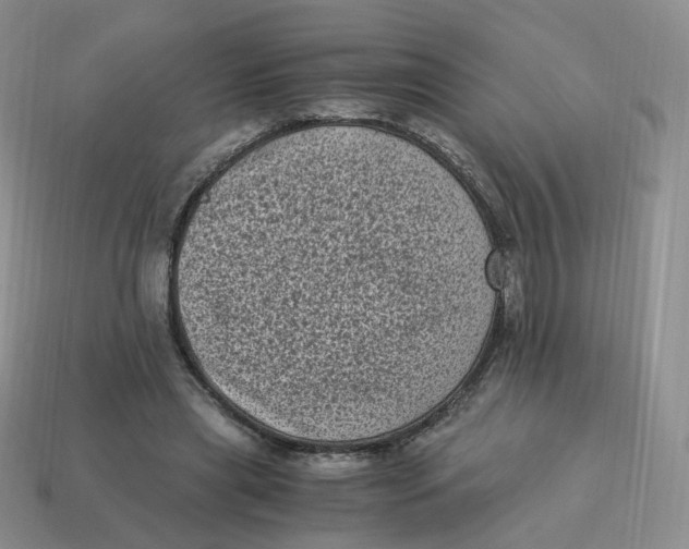 X0000114520445200911091154