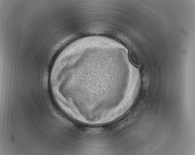 X0000114520446200911091154