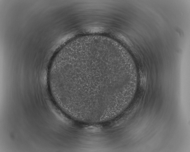 X0000114520447200911091154