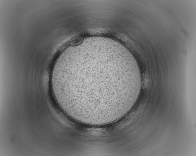 X0000114520448200911091154