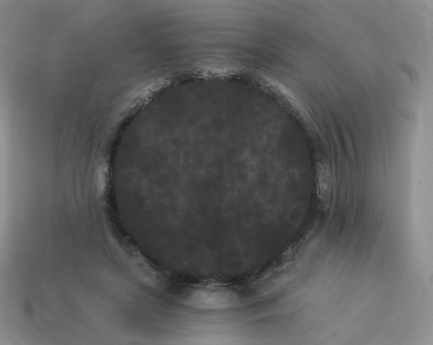 X0000114520451200911091154