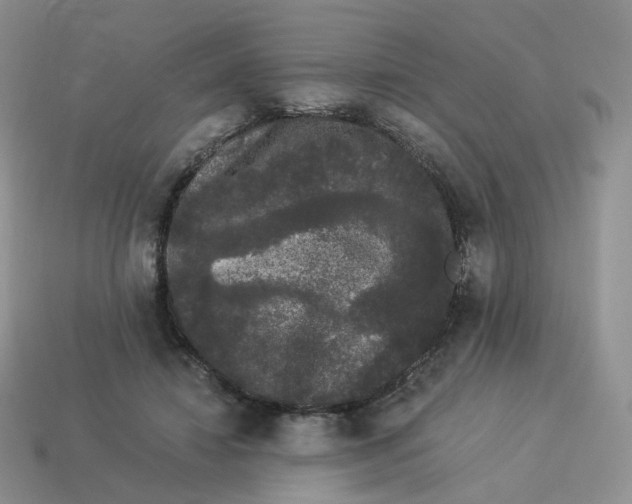 X0000114520452200911091154