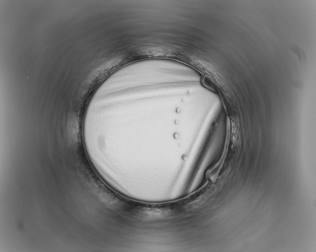 X0000114520453200911091154