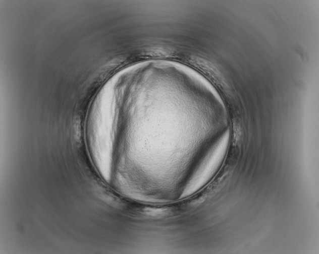 X0000114520457200911091154