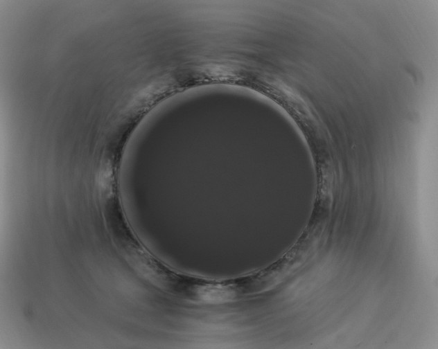 X0000114520465200911091154