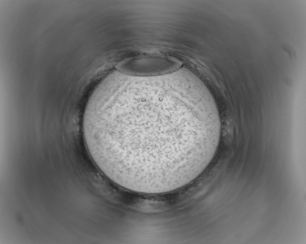 X0000114520466200911091154