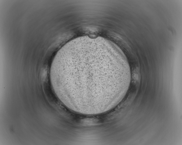 X0000114520468200911091154