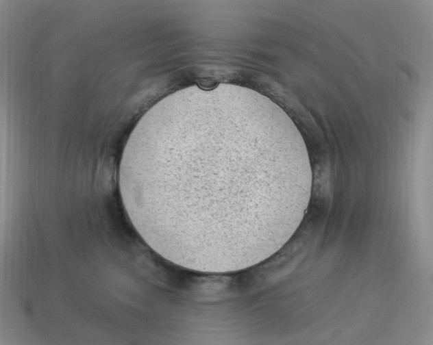 X0000114520474200911091154