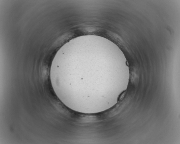 X0000114520476200911091154