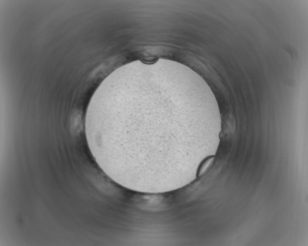 X0000114520478200911091154