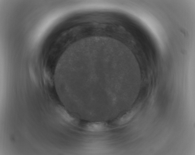 X0000114520479200911091154