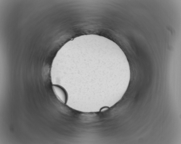 X0000114520480200911091154