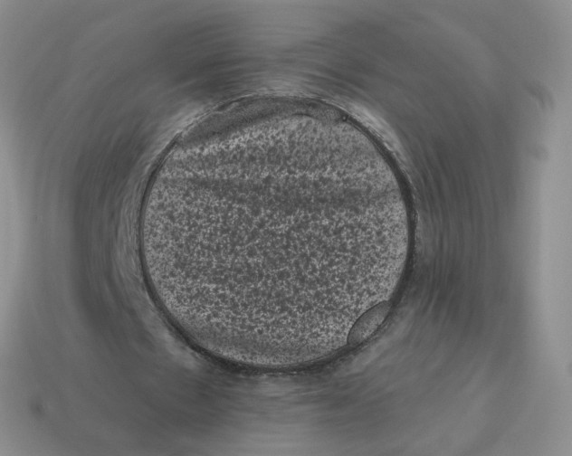 X0000114520481200911091154