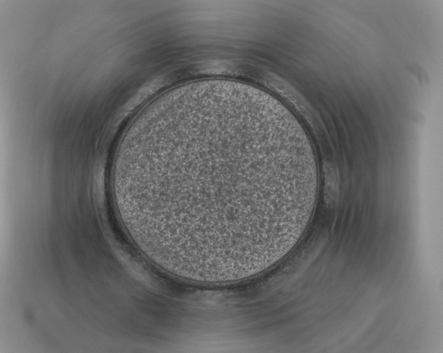 X0000114520482200911091154