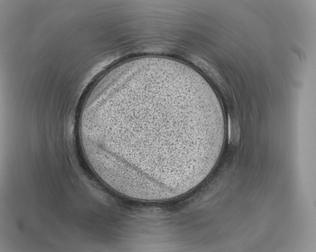 X0000114520483200911091154