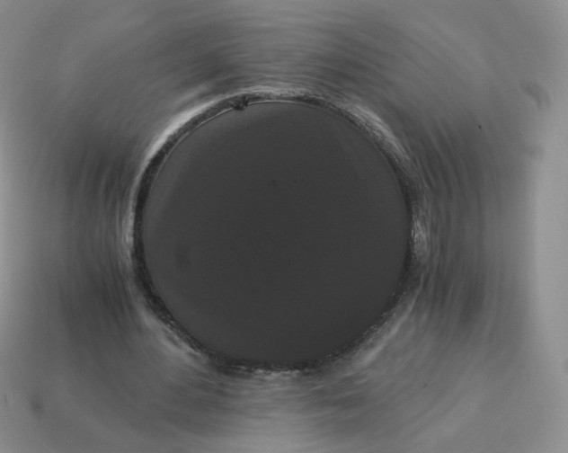 X0000114520484200911091154