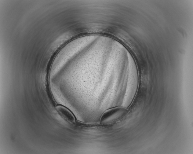 X0000114520485200911091154