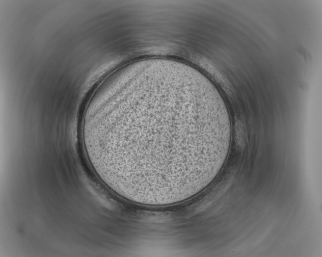 X0000114520486200911091154