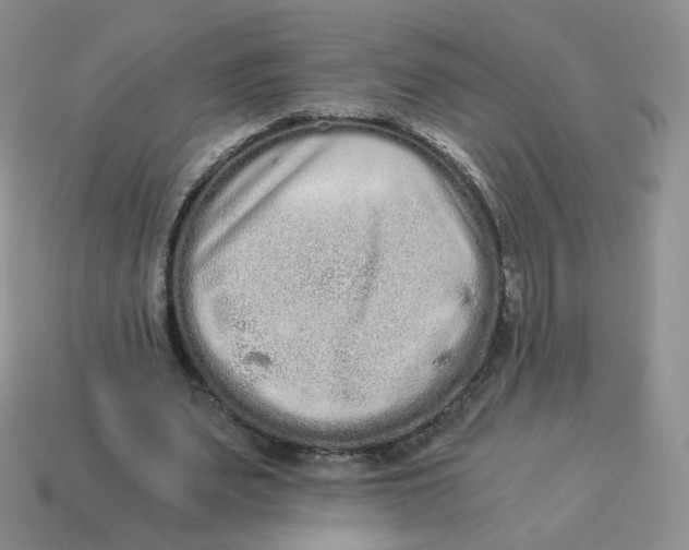 X0000114520487200911091154