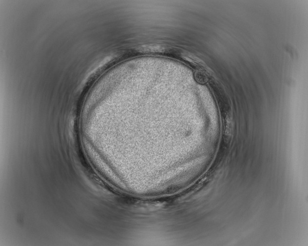 X0000114520491200911091153