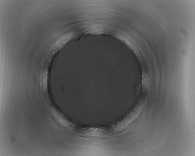 X0000114520493200911091153