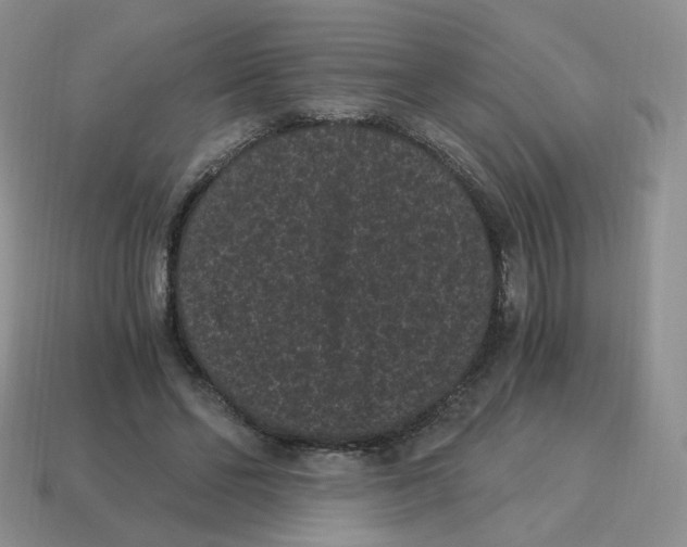 X0000114520494200911091153