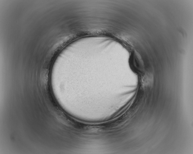 X0000114520495200911091153