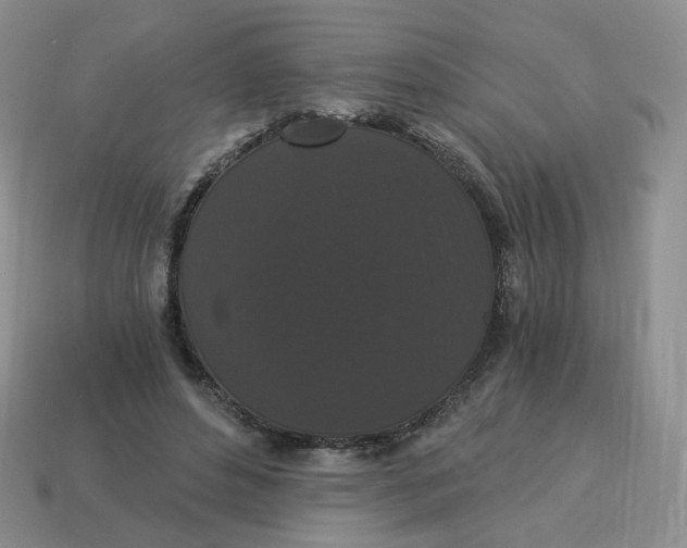 X0000114520496200911091153