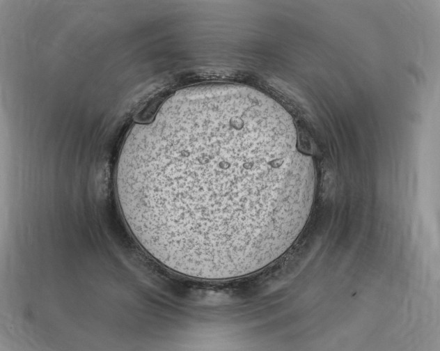 X0000114520498200911091153