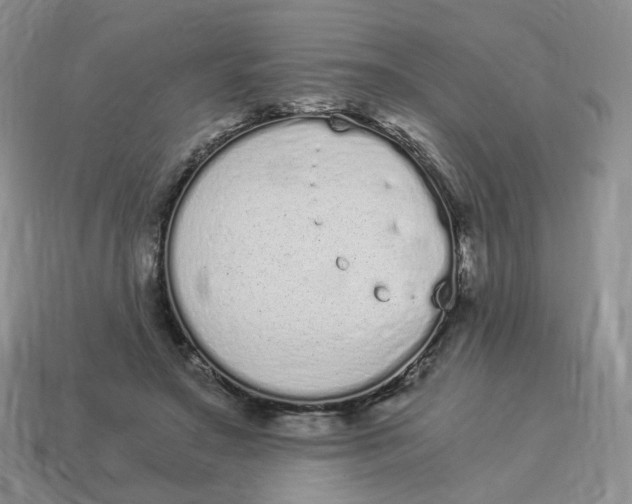 X0000114520499200911091153