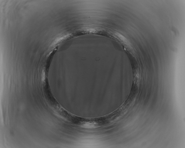 X0000114520500200911091153