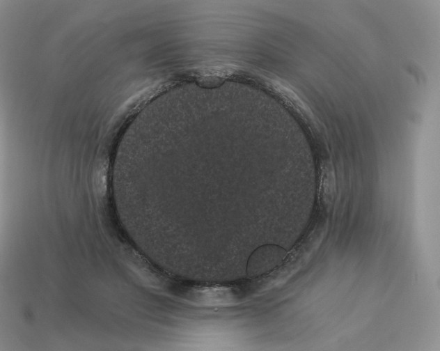 X0000114520501200911091153