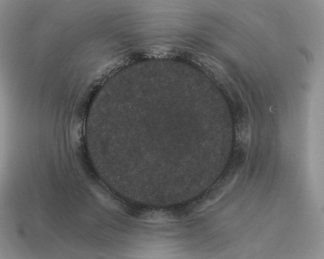 X0000114520503200911091153