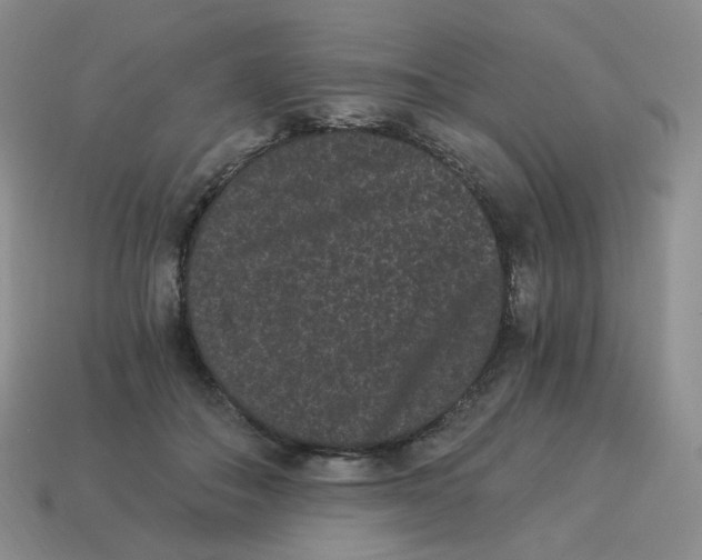 X0000114520506200911091153