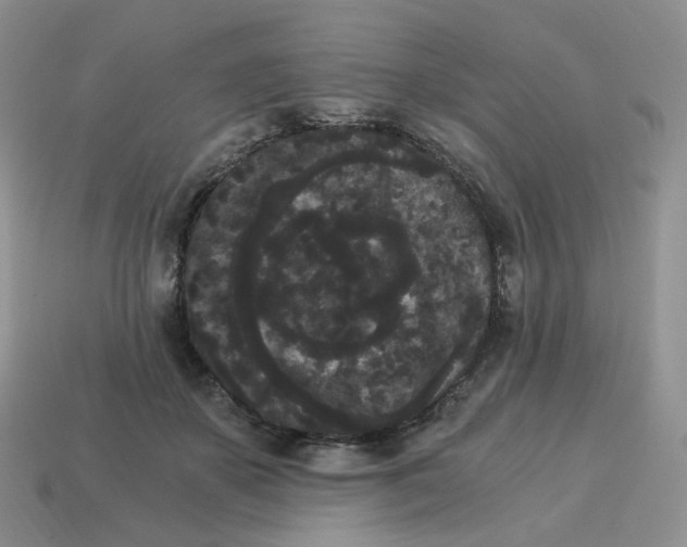 X0000114520507200911091153