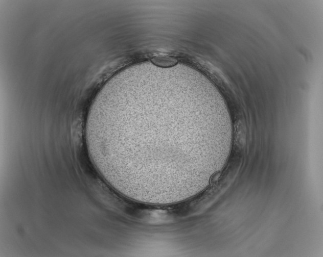 X0000114520509200911091153