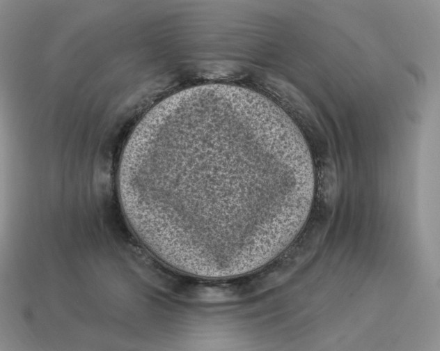 X0000114520510200911091153