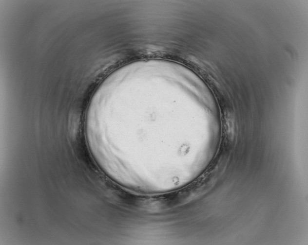 X0000114520511200911091153