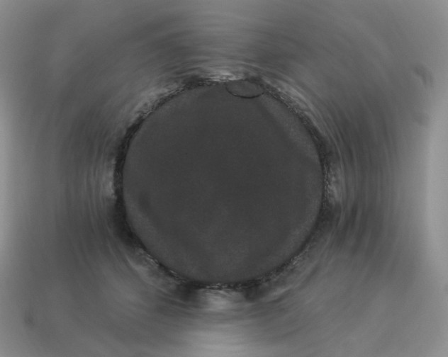 X0000114520512200911091153