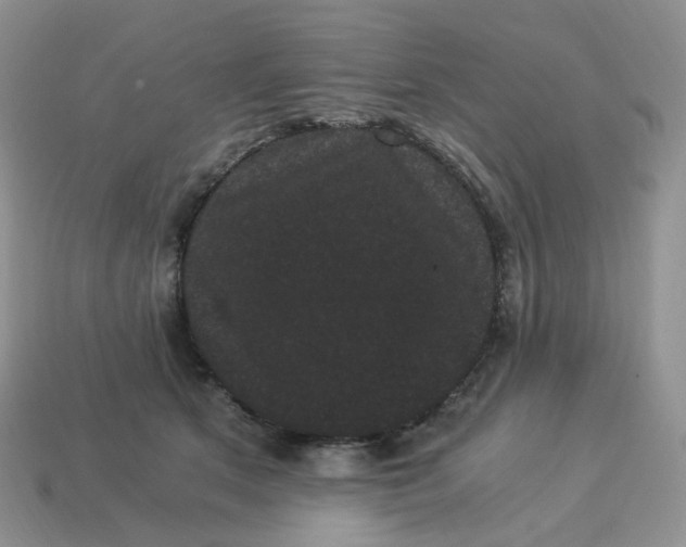 X0000114520513200911091153