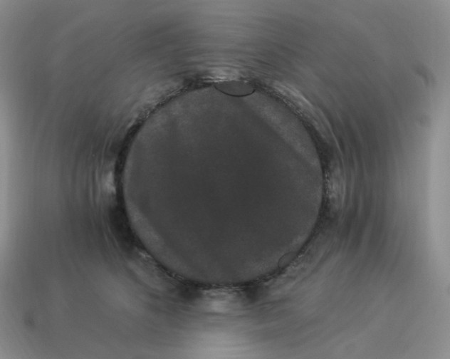 X0000114520516200911091153