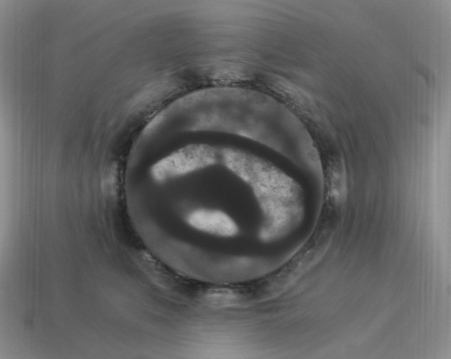 X0000114520519200911091153